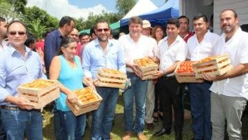 Gobierno presentó plan para mejorar producción y comercialización de tomate